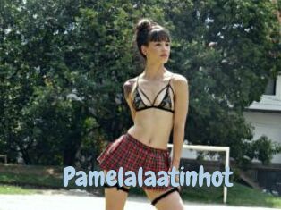 Pamelalaatinhot