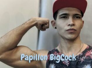 Papillon_BigCock