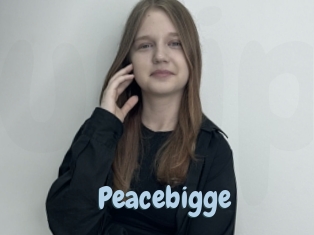 Peacebigge