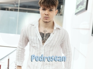 pedrosean Uniform Porn XXX