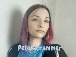 petulacrammer Uniform Porn XXX