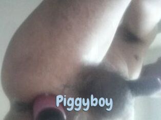 Piggyboy