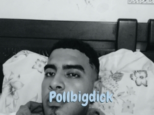 Pollbigdick