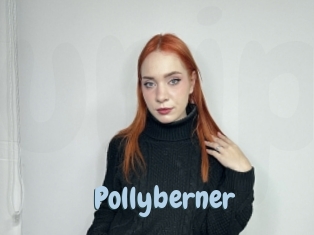 Pollyberner