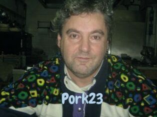 pork23 Uniform Porn XXX