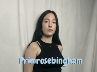 Primrosebingham