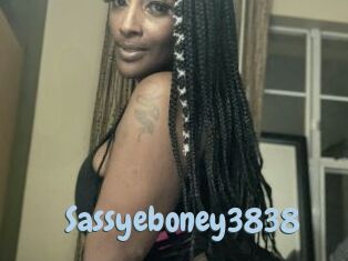 Sassyeboney3838
