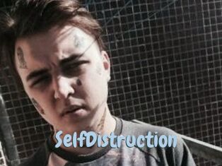 SelfDistruction