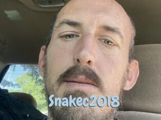 Snakec2018