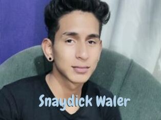 Snaydick_Waler