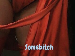 Somebitch