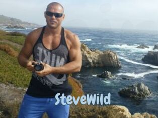 Steve_Wild
