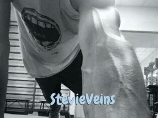 StevieVeins