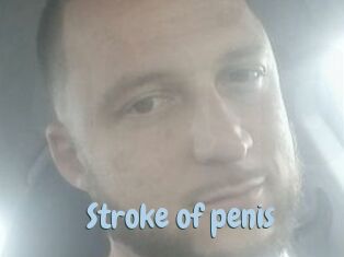 Stroke_of_penis