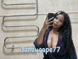 Sandycape77