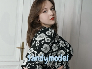 Sandymodel