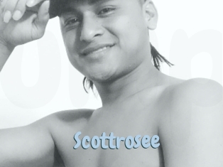Scottrosee