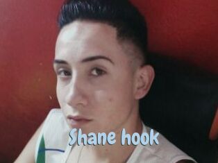 Shane_hook