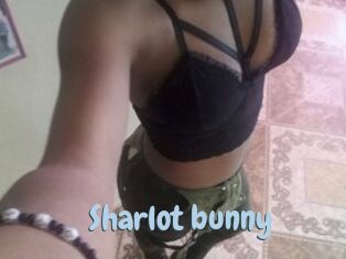 Sharlot_bunny