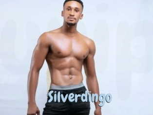 silverdingo Uniform Porn XXX