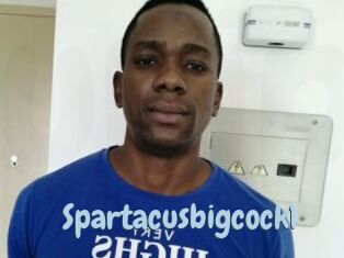 Spartacusbigcock1
