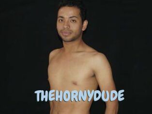 THEHORNYDUDE