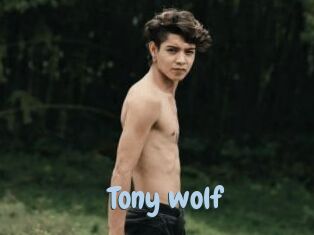 Tony_wolf