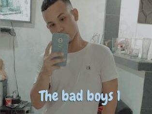 The_bad_boys_1