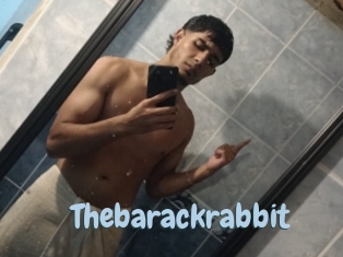 Thebarackrabbit