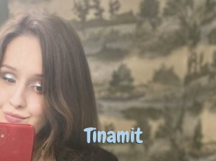 Tinamit