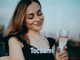 Toccami