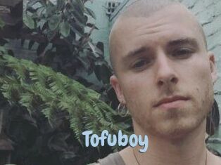 Tofu_boy