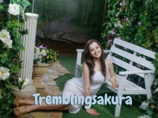Tremblingsakura