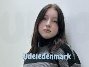 Udeledenmark