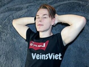 VeinsViet