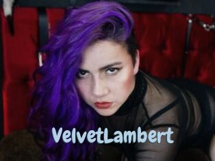 VelvetLambert