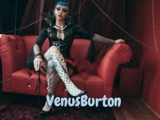 VenusBurton