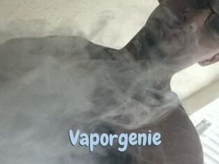 Vapor_genie