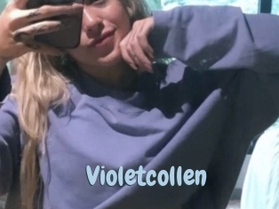 Violetcollen
