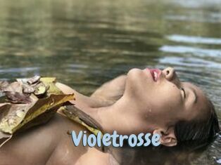 Violetrosse