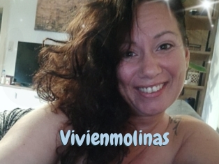 Vivienmolinas