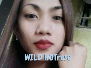 WILD_HOTrose