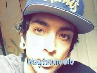 Waytoonumb