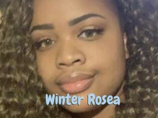 Winter_Rosea