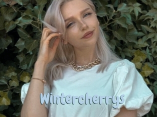 Wintercherrys