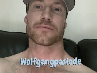 Wolfgangpaslode