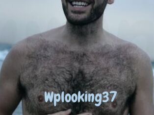 wplooking37 Uniform Porn XXX