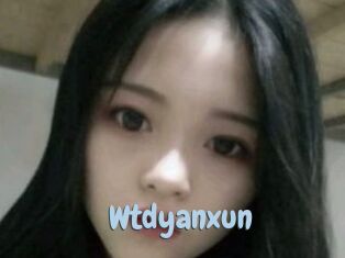 Wtdyanxun