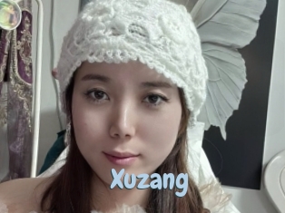 Xuzang