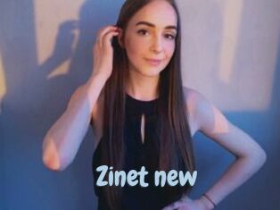 Zinet_new